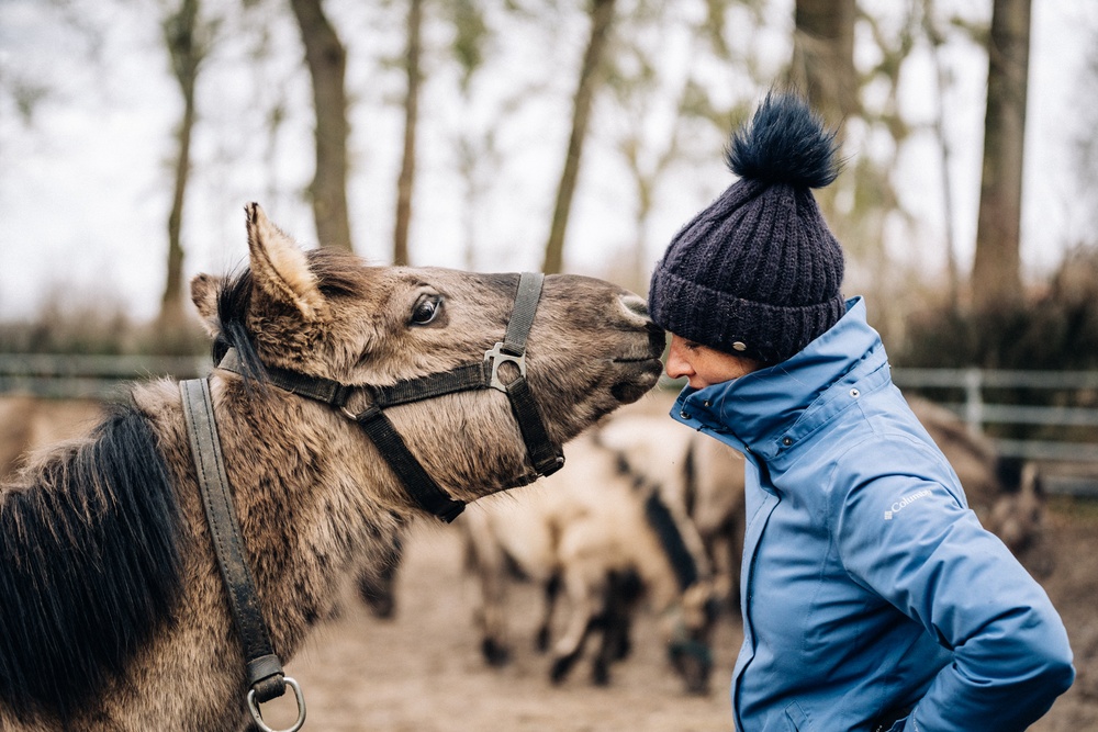 martynazglobisz_popielno-koniki-stajenne-61 (1)